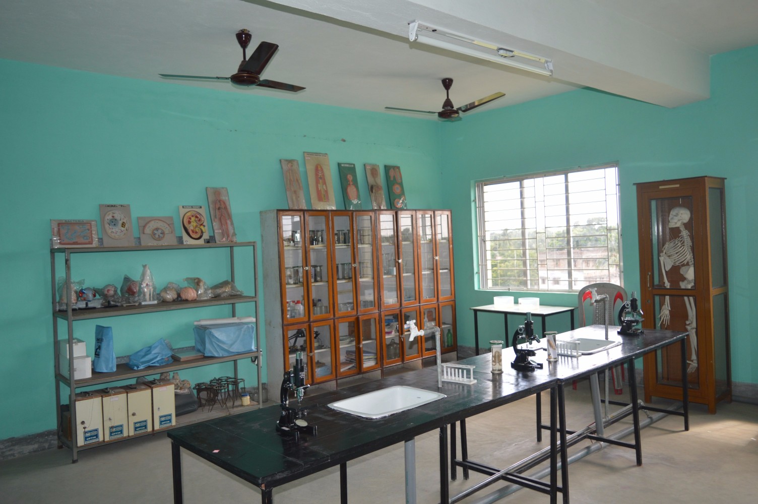 Laboratory 2